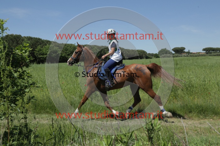 MAT_3460.JPG