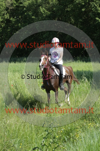 MAT_2503.JPG