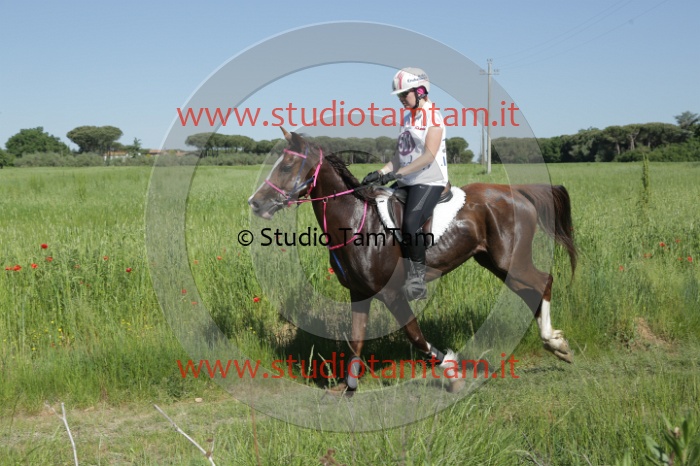 MAT_2508.JPG