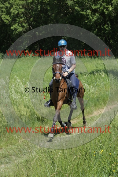 MAT_3538.JPG