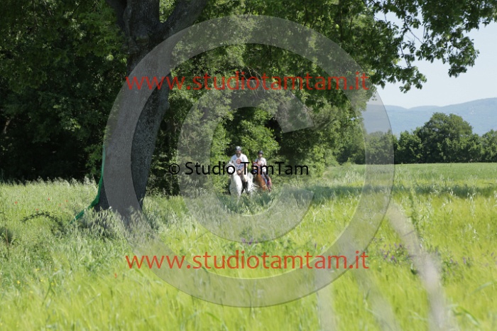MAT_2893.JPG
