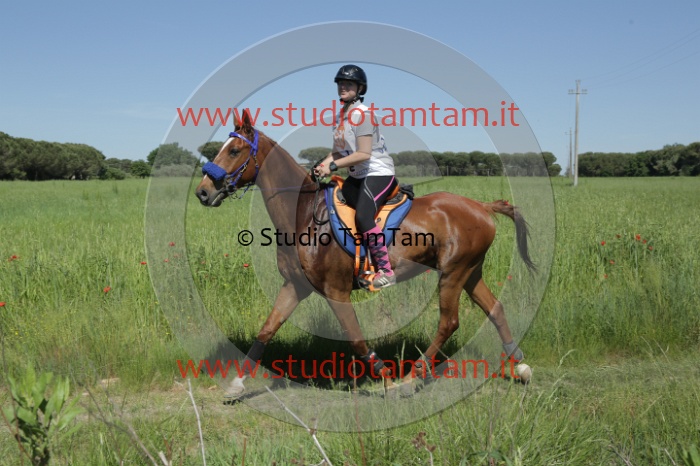 MAT_2909.JPG