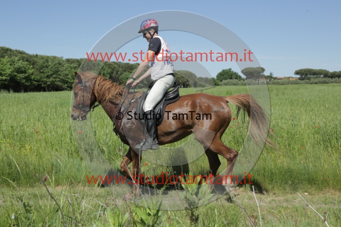 MAT_2979.JPG