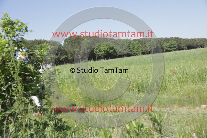 MAT_1474.JPG