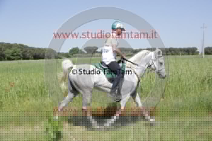 MAT_1492.JPG