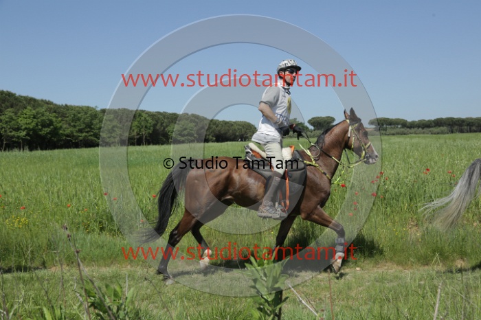 MAT_1619.JPG