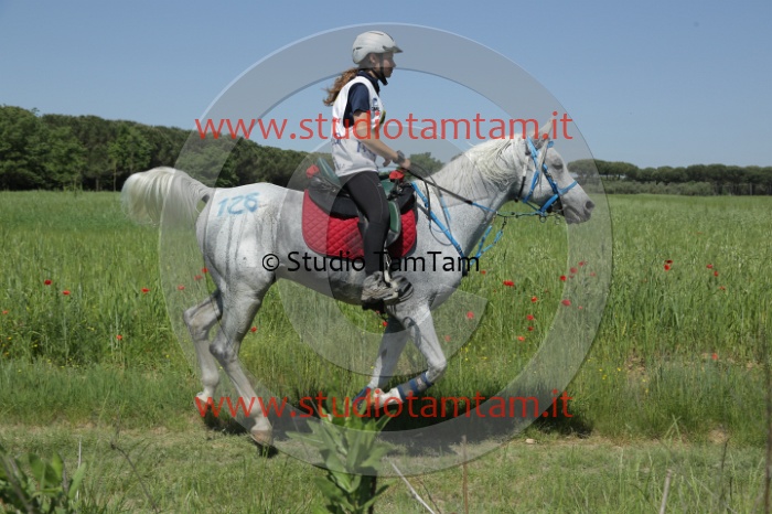 MAT_1653.JPG