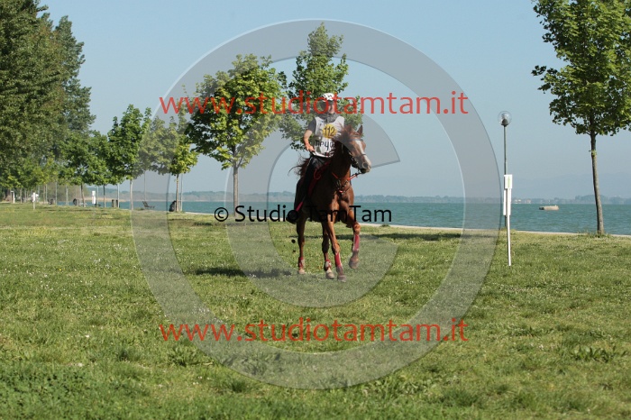 IMGB0366.JPG
