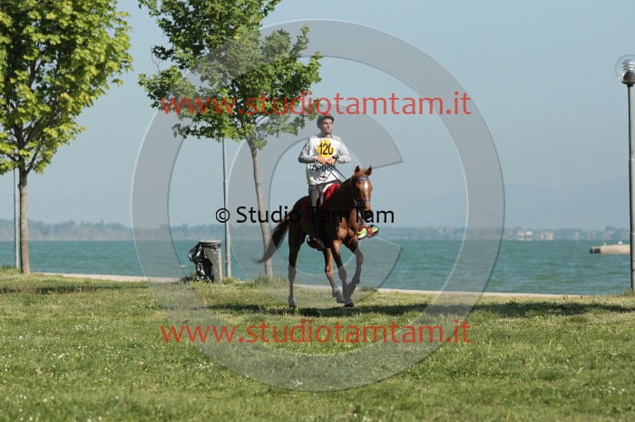 IMGB0466.JPG