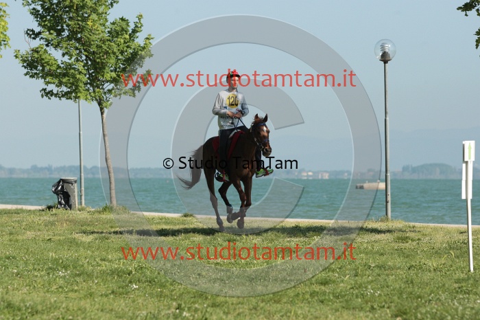 IMGB0469.JPG