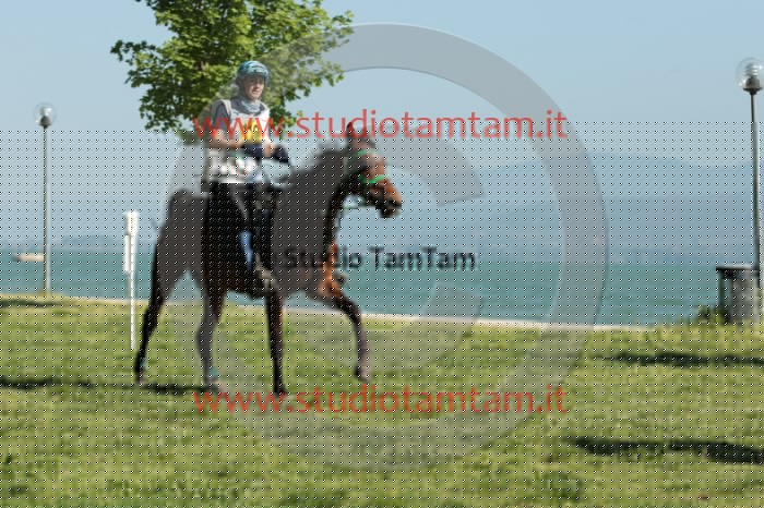IMGB0591.JPG