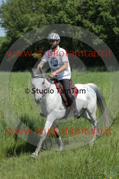 MAT_1710.JPG