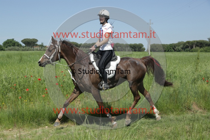 MAT_1831.JPG