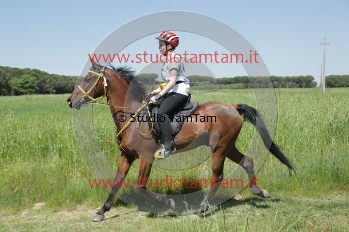 MAT_1856.JPG