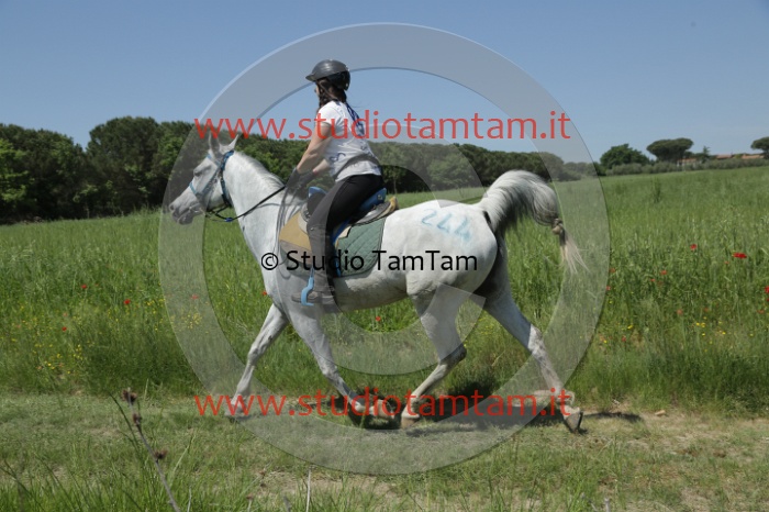 MAT_2024.JPG