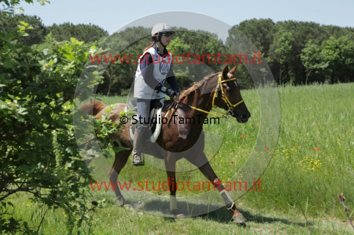 MAT_2053.JPG