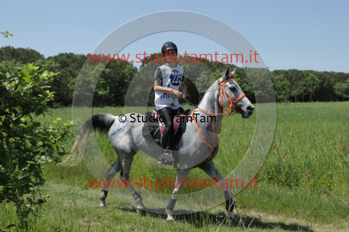 MAT_2065.JPG