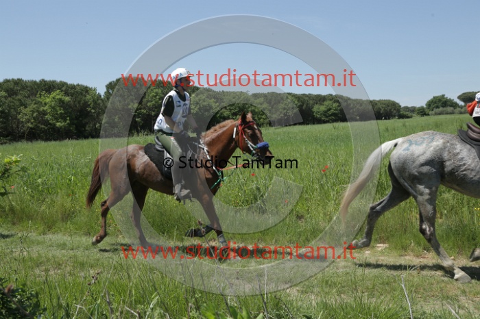 MAT_2084.JPG