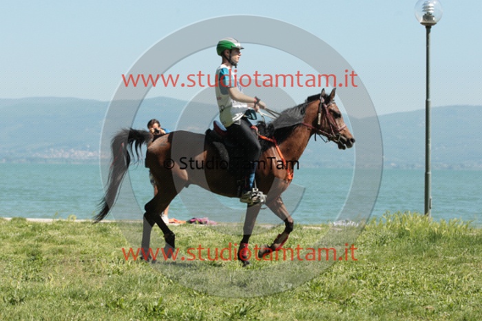 IMGB0934.JPG