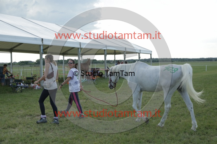 MAT_2174.JPG
