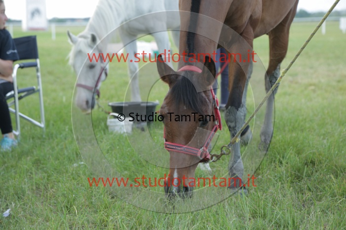 MAT_2179.JPG