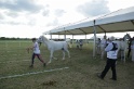 MAT_2151