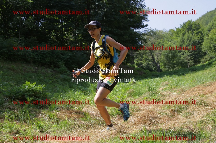 MAT_7154.JPG