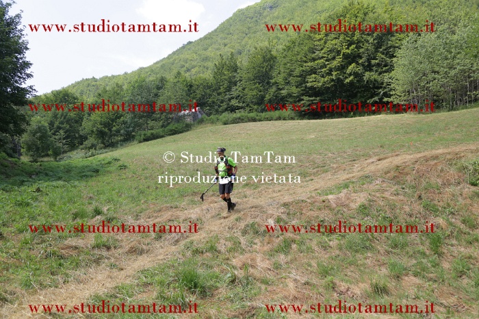 MAT_7916.JPG