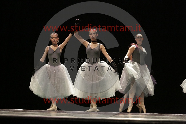 mat_6059.jpg
