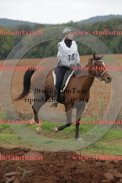 MAT_1150.JPG