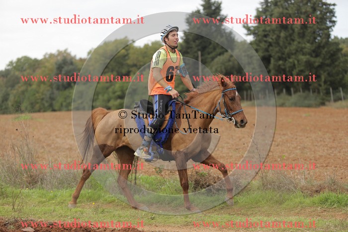 MAT_1791.JPG