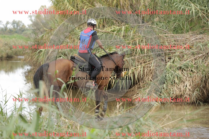 MAT_1601.JPG