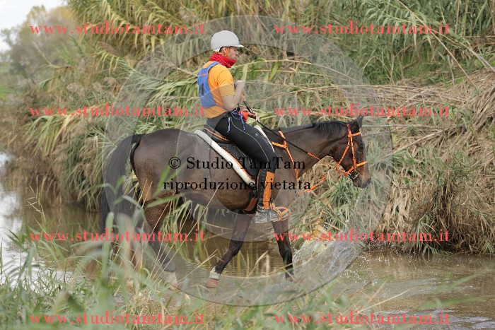 MAT_1614.JPG