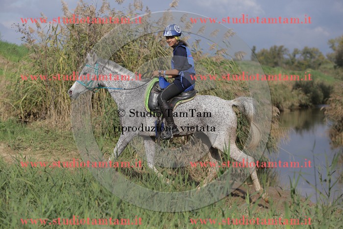 MAT_1725.JPG
