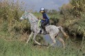 MAT_1723