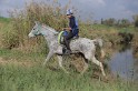 MAT_1725