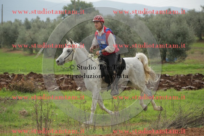 MAT_1220.JPG