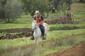 MAT_2834