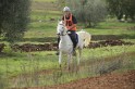 MAT_2841