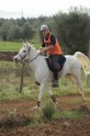 MAT_2848