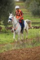 MAT_3170