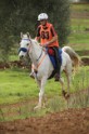 MAT_3172