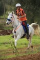 MAT_3174