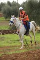 MAT_3175
