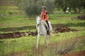 MAT_3184