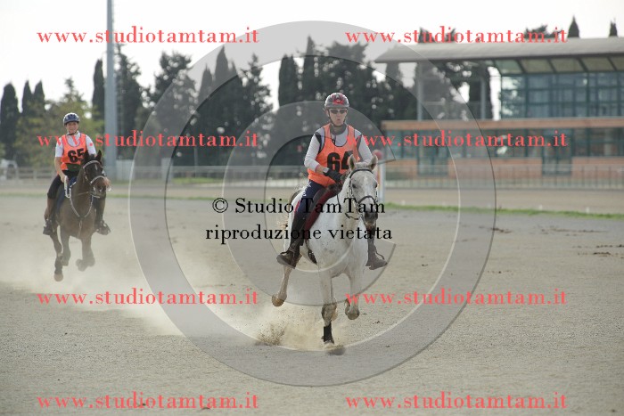 MAT_3844.JPG