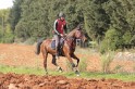 IMGB0789