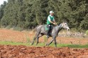 IMGB0408