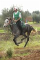 MAT_3393