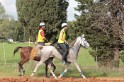 IMGB0449